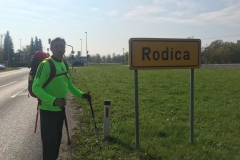 rodica